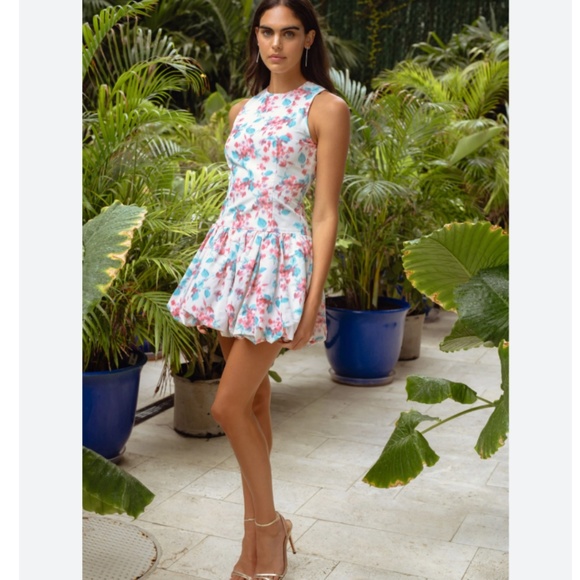 Brand New SHOSHANNA SLEEVELESS BUBBLE DRESS - Picture 3 of 11